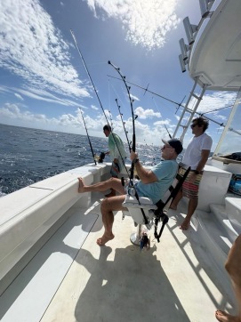 051b5115-a20e-46ed-8d60-a1279968eefa